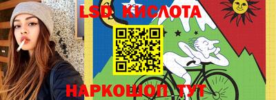 крисы Донской