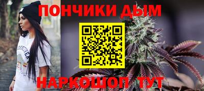 амф Дубна