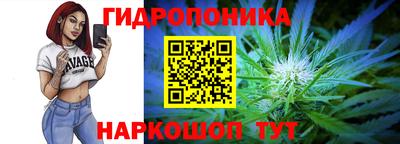 крисы Донской