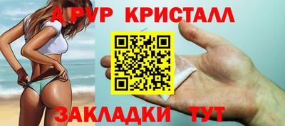 крисы Донской