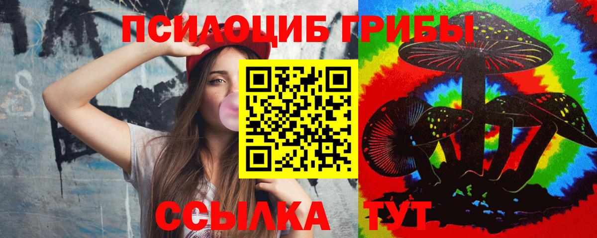 Галлюциногенные грибы Cubensis Шебекино